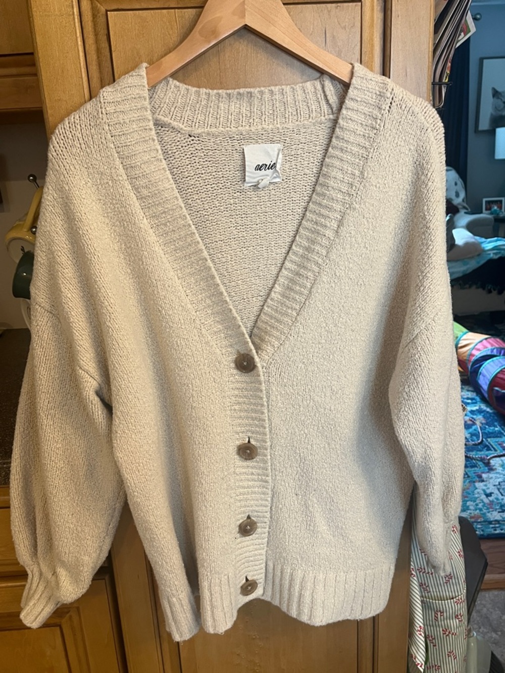 Aerie Oversized V-Neck Button Cardigan
